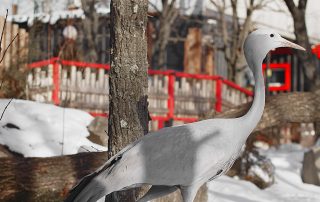 haven_crane_2.2.1