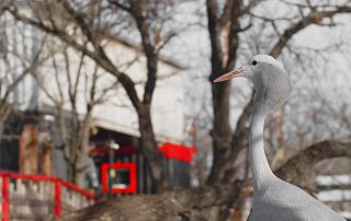 haven_crane_2.7.1